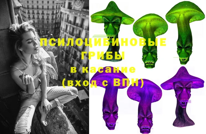 Галлюциногенные грибы MAGIC MUSHROOMS  Почеп 